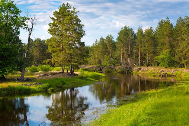 Belarusian river Ubarc' Ubort