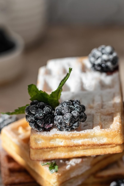 Belgium waffles close up with blackberry and powdered sugar Morning breakfast concept