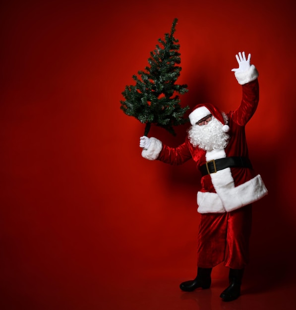 belly of Santa Claus carries a Christmas tree and waves his hand