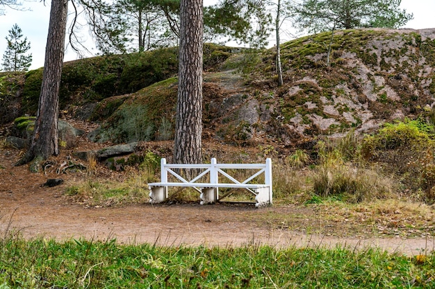 Bench in the autumn park cozy bench in the beautiful autumn park