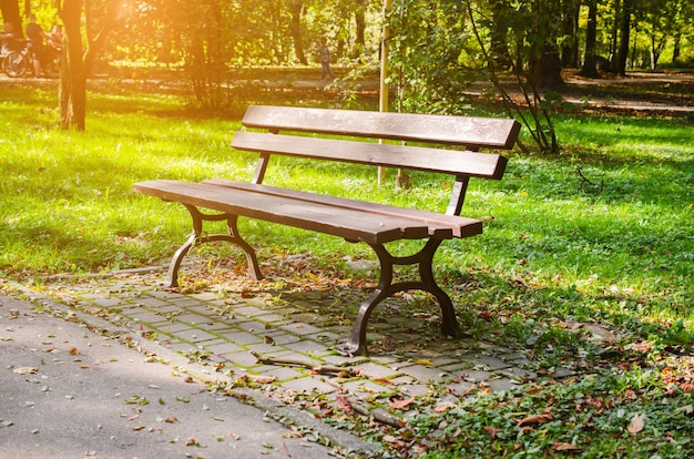 Bench in city park in autumn autumn landscape beautiful autumn park at sunny weather