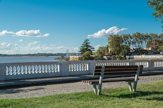 Bench in front of the river