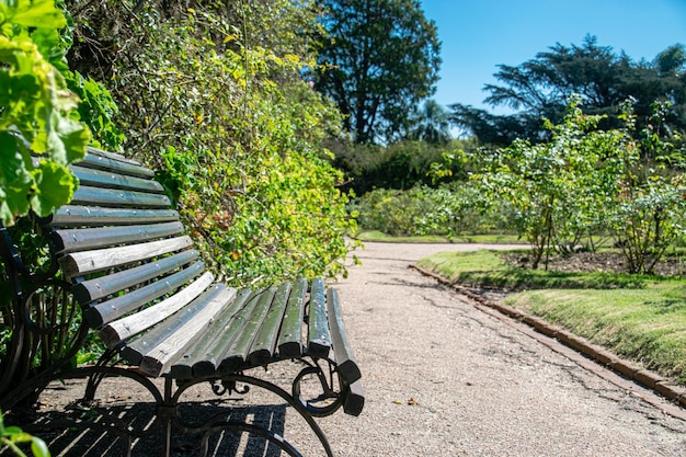 Bench in a garden