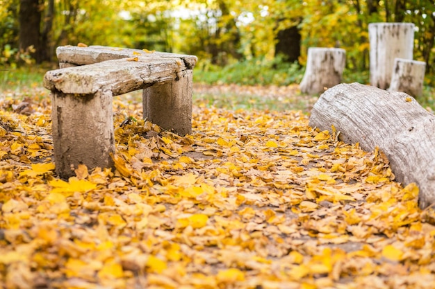 Bench made of old logs in autumn park Horizontal photo