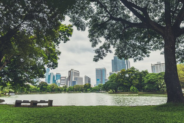 Bench near tree in public park with cityscape