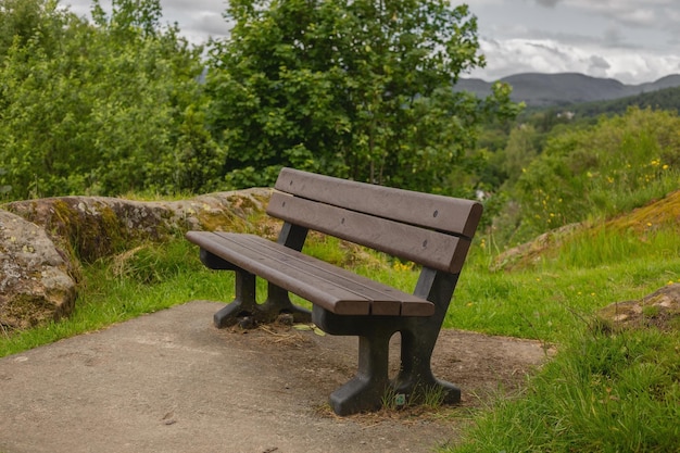 Bench in the park against the background of green plants