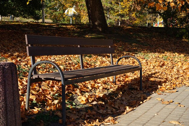 A bench in the park in the fall fallen leaves a sunny day