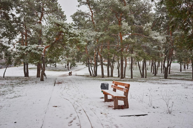 Bench in the park in the snow