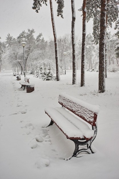 Bench in the park in the snow