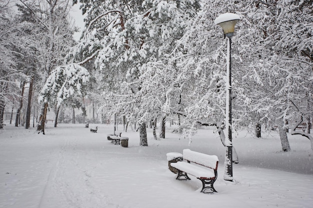 Bench in the park in the snow