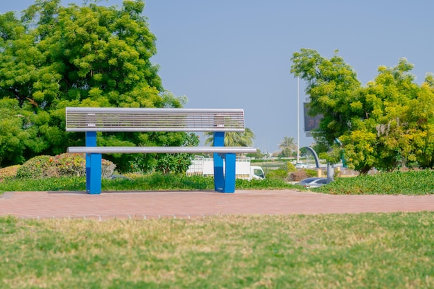 Bench in the park