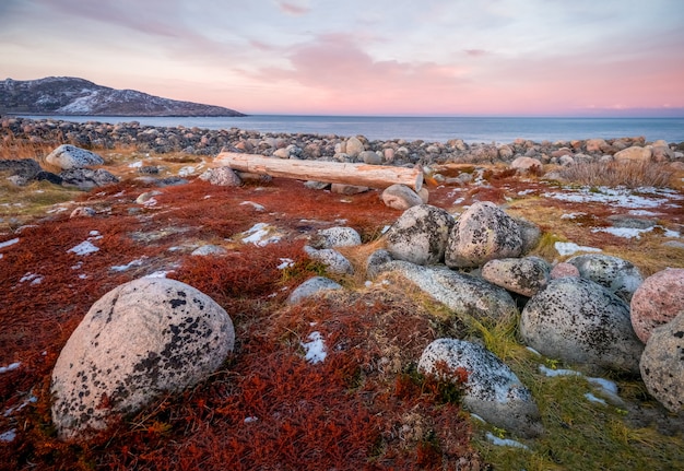 Bench on the shore of the Barents sea. The surface of the beach on the north ocean is covered with large polished round stones of gray color of different sizes. Teriberka.