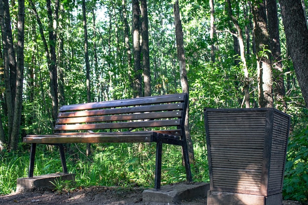 Bench and urn in a dense green park Bench in a forest overgrown park