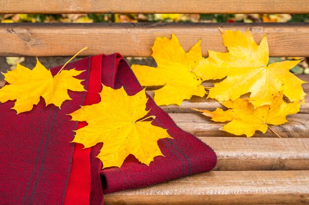 Bench with the scarf and dry leaves in the city park in autumn