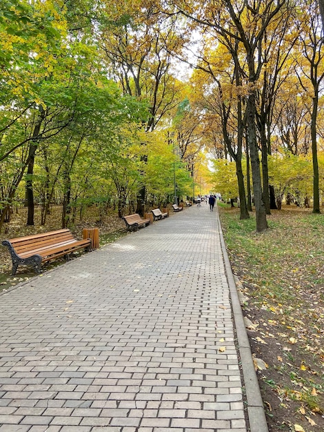 Benches in autumn park. Autumn landscape in Moscow, Russia.