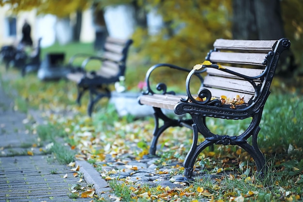 Benches in the autumn park