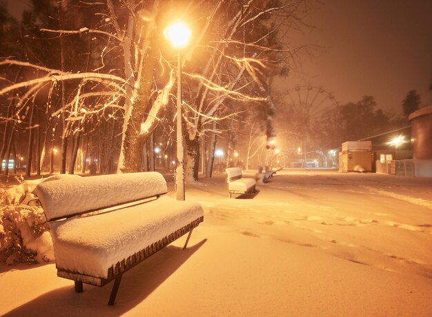 Benches in the winter city park Filled up with snow