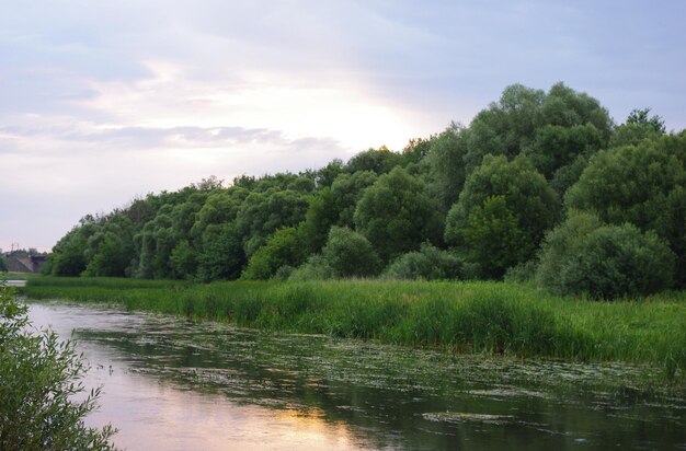 Bereg reki na rassvete v srednej polose Rossii