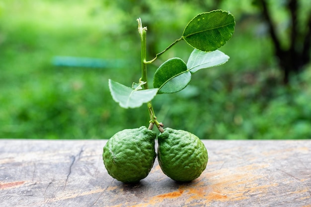 Bergamot fruit with leaf from garden on wood table