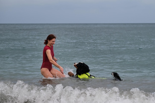 Bernese Mountain Dog is lifeguard and bodyguard on water and on land Training of rescue dog