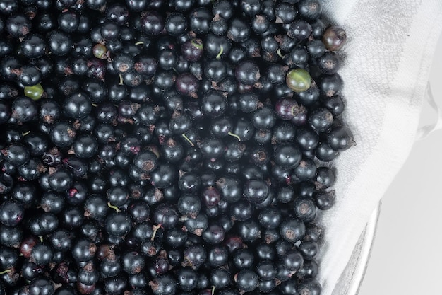 Berries of black currant on a light background