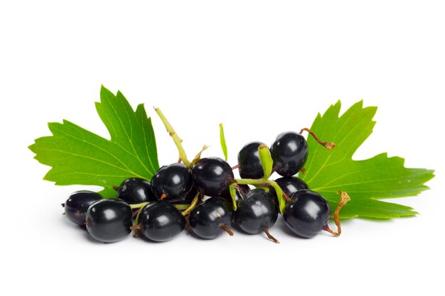 Berries black currant with green leaf. Fresh fruit, isolated on white background.