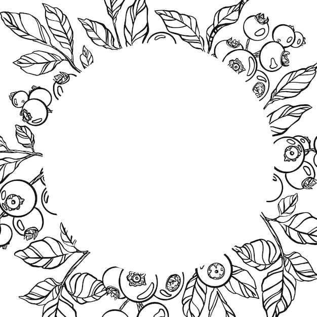 Berries card Outline black and white graphics