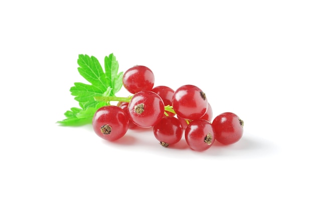 Berries of ripe tasty red currant isolated on white background. red currant with a leaf. a slide of red currants. Red currant berries with leaf isolated on white background.