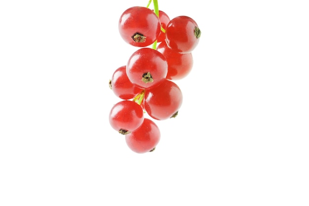 Berries of ripe tasty red currant isolated on white background. red currant with a leaf. a slide of red currants. Red currant berries with leaf isolated on white background.