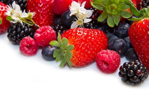 Berries on white