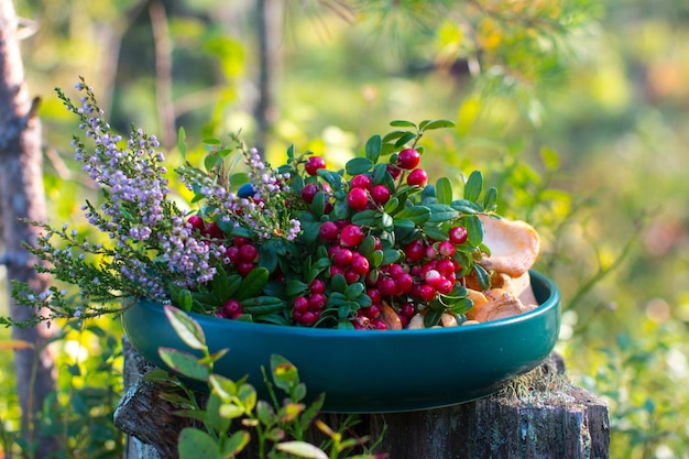 Berries of wild blueberries and lingonberries on a plate A blooming sprig of magical forest heather with forest mushrooms chanterelles