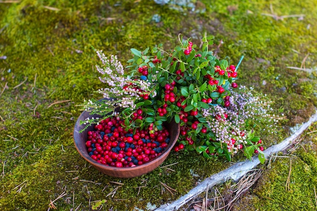 Berries of wild blueberries and lingonberries on a plate A blooming sprig of magical forest heather with forest mushrooms chanterelles