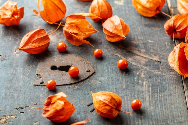 The berry of the physalis in the red shell Physalis peruviana