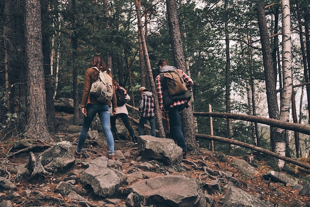 Best hobby ever. Full length rear view of young people in warm clothing moving up while hiking together in the woods