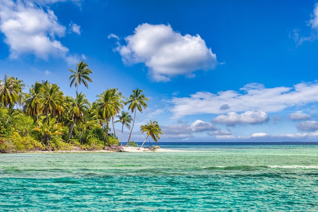 Best summer beach landscape. Tranquil tropical island, paradise coast, sea lagoon bay palm trees