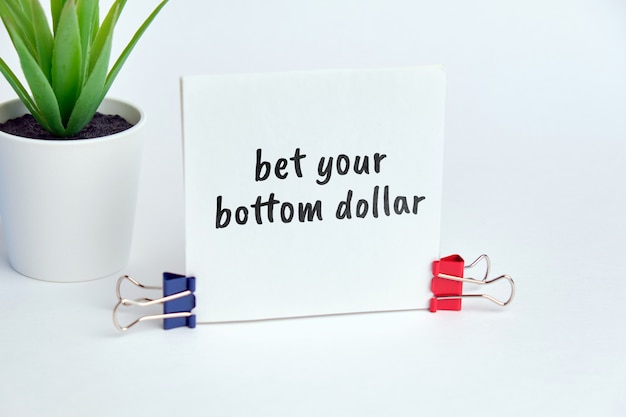 Bet your bottom dollar - english money idiom hand lettering 