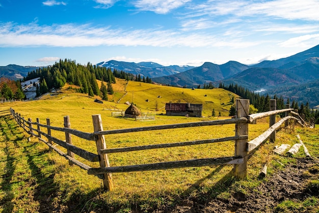 Bewitching beautiful summer landscape of a green meadow on a hill overlooking a dense coniferous forest. Mountains in a cloudy warm summer day