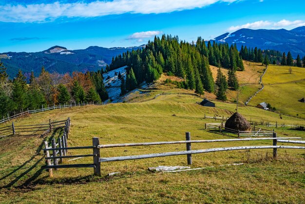 Bewitching beautiful summer landscape of green meadows