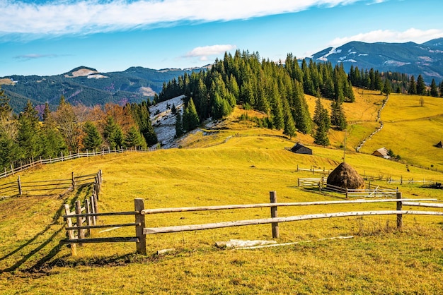 Bewitching beautiful summer landscape of green meadows