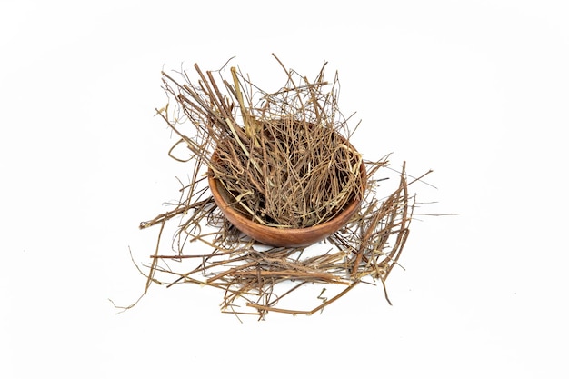 Bhumi amla roots or Phyllanthus niruri on white background