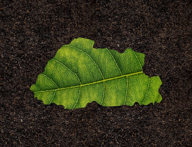 Bhutan map made of green leaves on soil background ecology concept