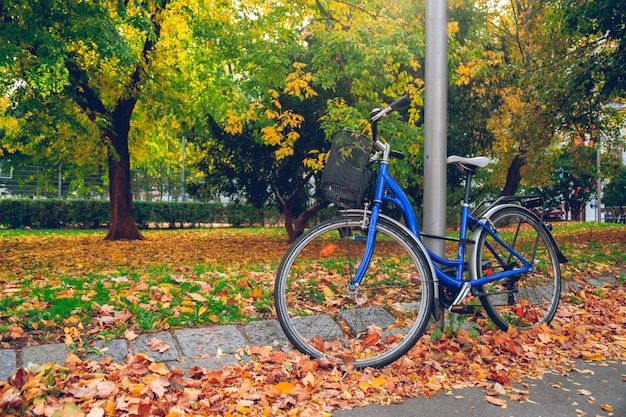 Bicycle attached to a pillar in Vienna Park in autumn time, yellow leaves on the ground