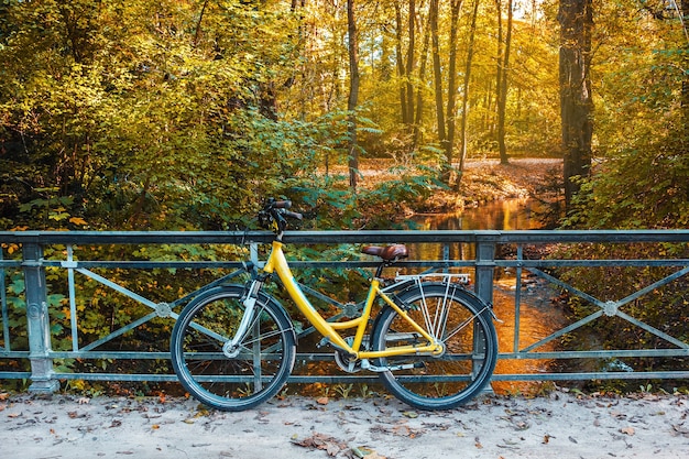 bicycle on the autumn park and river background weekend outdoor walk