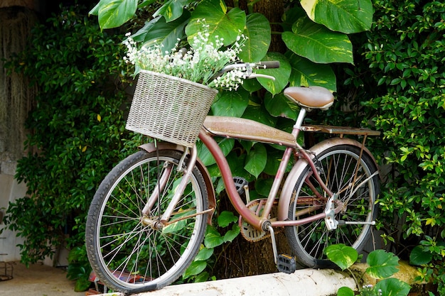 Bicycle gardening with a flower in the garden