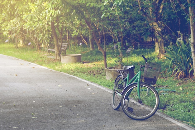 Bicycle in the park