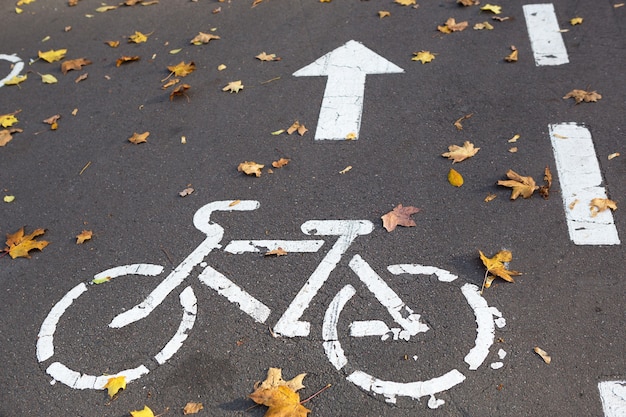 A bicycle path with a bicycle road sign and markings drawn on the asphalt. The autumn track in the park is strewn with dry yellow maple leaves. Cycling in autumn, traffic rules