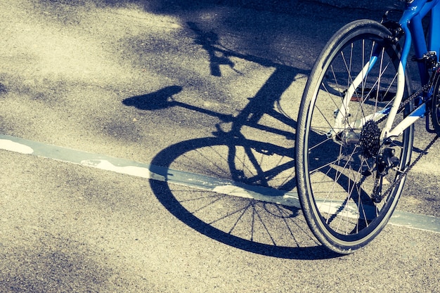 Bicycle wheel and shadow on bike lane in a park.