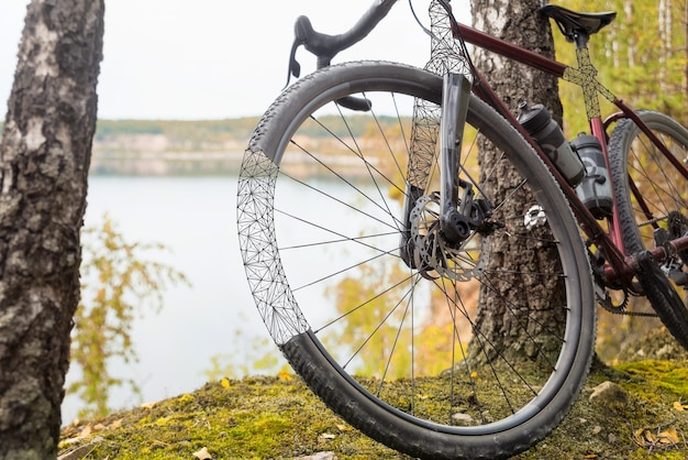 Bicycle with partially painted fragments stands near a tree in forest