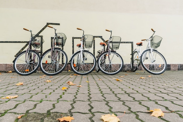 Bicycles on the background of a light wall.