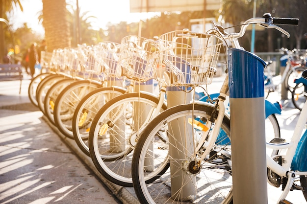 Bicycles stand on a parking for rent in city